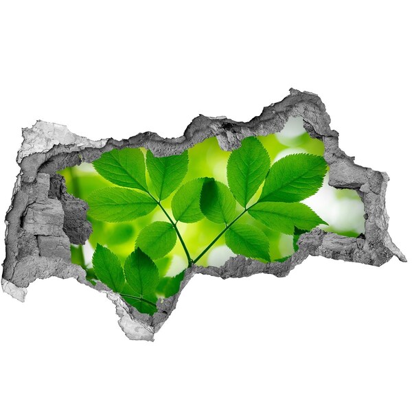 Hole in the wall decal A green oasis in concrete