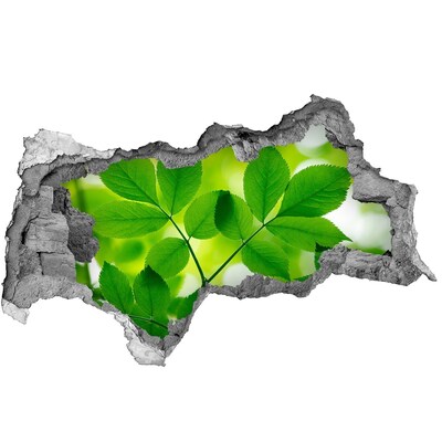 Hole in the wall decal A green oasis in concrete