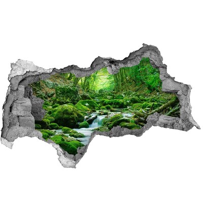 Hole in the wall decal Green stream in the forest