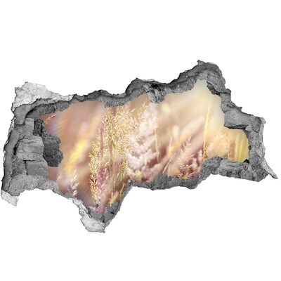 Hole wall sticker Flower meadow behind the wall