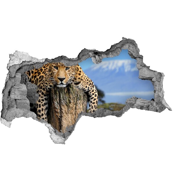 Hole in the wall sticker The sticky gaze of a leopard
