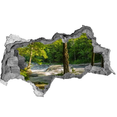 Hole wall sticker Green forest by the river