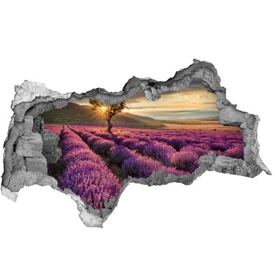 Hole in the wall decal Lavender fields at sunset