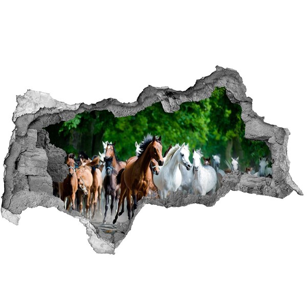 Hole in the wall sticker A herd of horses on the run