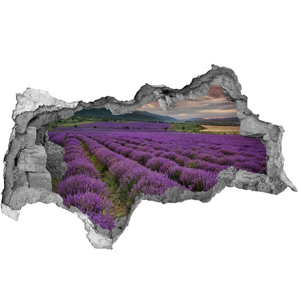 Hole in the wall sticker Lavender fields in the rays of the setting sun