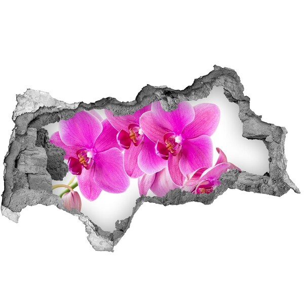 Hole in the wall sticker Orchid flowers in a concrete hole