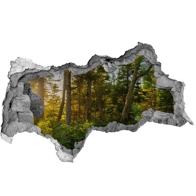 Hole wall sticker Forest Oasis