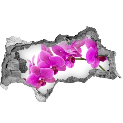 Hole in the wall sticker Orchids through a hole in the wall