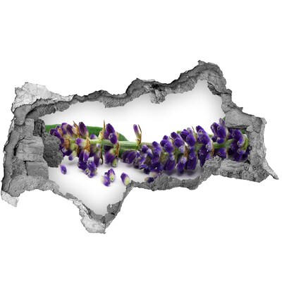 Hole in the wall sticker Lavender flower through a hole in the wall