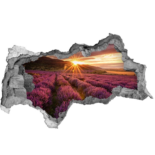 Hole wall sticker Lavender field at sunset