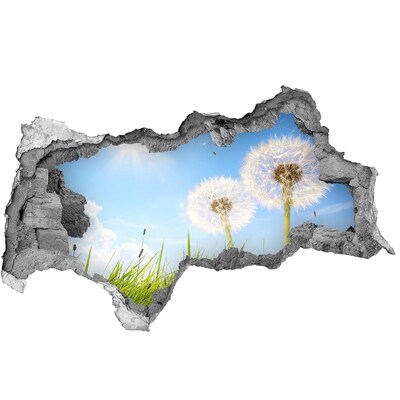 Hole wall sticker Dandelion flowers in the sky