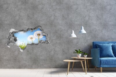 Hole wall sticker Dandelion flowers in the sky
