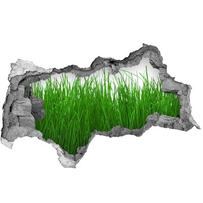 Hole in the wall sticker Green meadow through a hole in the wall