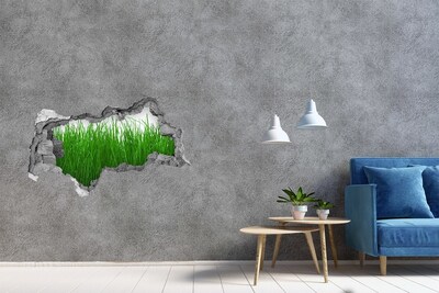 Hole in the wall sticker Green meadow through a hole in the wall