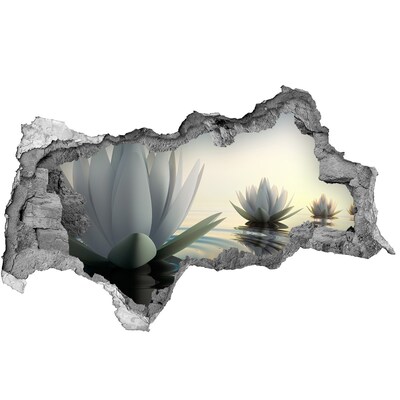 Hole wall sticker Lotus flowers on the water