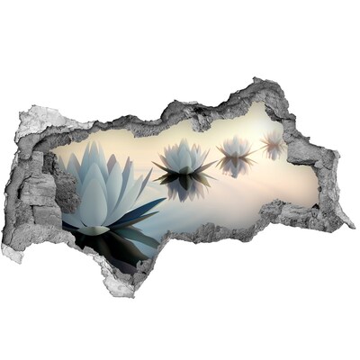 Hole in the wall sticker Water flowers in the calm water surface