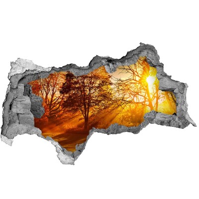 Hole in the wall decal Golden rays of sunshine in the forest