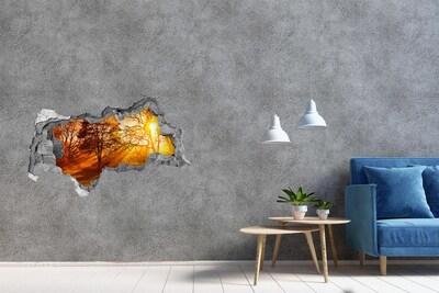Hole in the wall decal Golden rays of sunshine in the forest