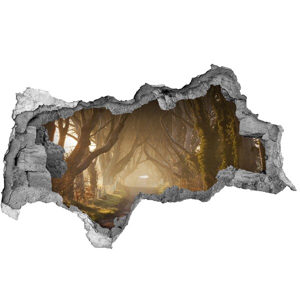 Hole in the wall sticker A path among the trees