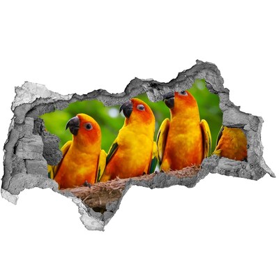 Hole in the wall sticker Tropical parrots in a hole in the wall