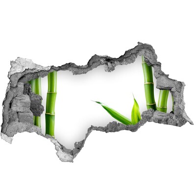 Hole wall sticker Green plant through a hole in the wall