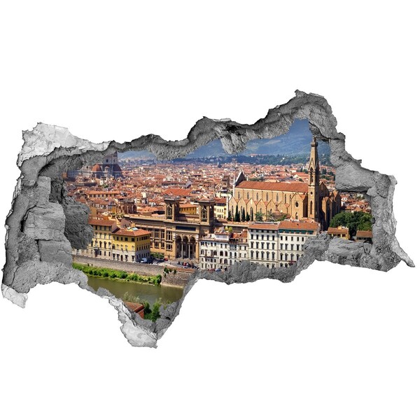 Hole in the wall decal View of Florence