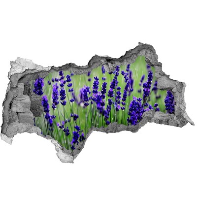 Hole wall sticker Lavender flower meadow