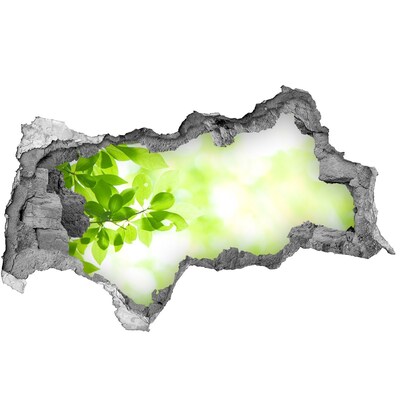 Hole in the wall sticker Green paradise behind the wall