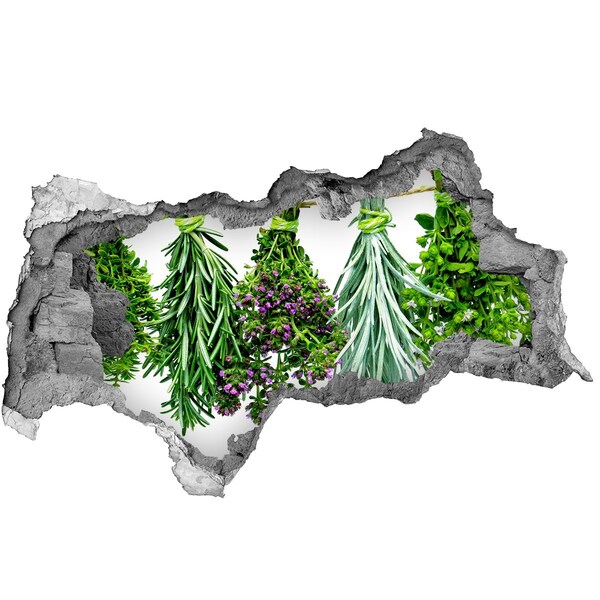 Hole in the wall sticker Hole in the Wall Herb Garden