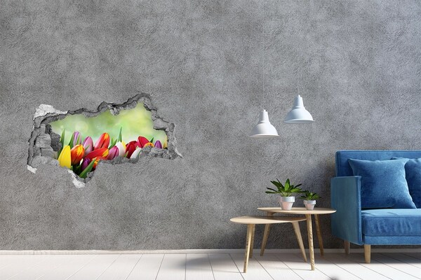Hole wall sticker A flower paradise behind the wall