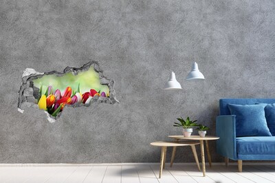 Hole wall sticker A flower paradise behind the wall