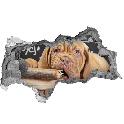 Hole in the wall decal A sweet puppy among books