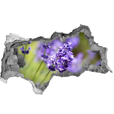 Hole wall sticker Lavender flowers in a virtual hole