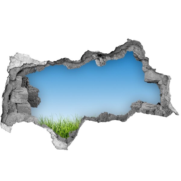 Hole in the wall sticker Green meadow under a blue sky