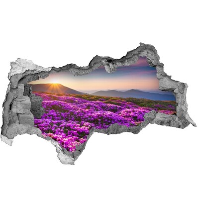 Hole wall sticker Floral landscape in the mountains