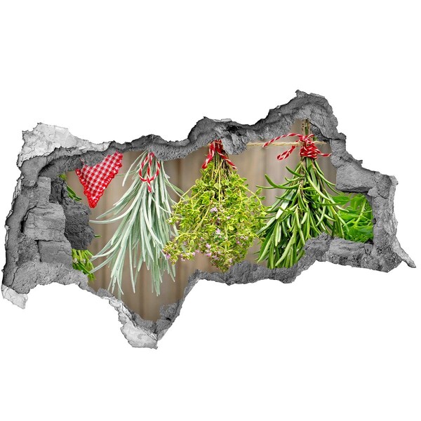 Hole in the wall sticker Herb garden in ruins