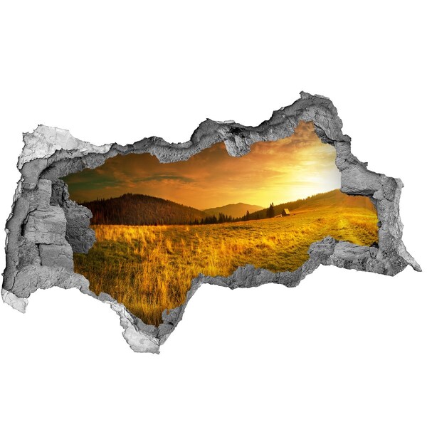 Hole wall sticker Golden meadow at sunset