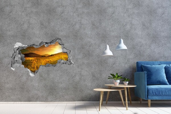Hole wall sticker Golden meadow at sunset