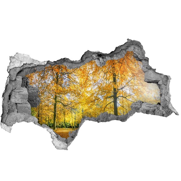 Hole wall sticker Golden autumn in the forest