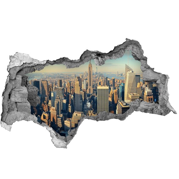 Hole in the wall sticker View of New York