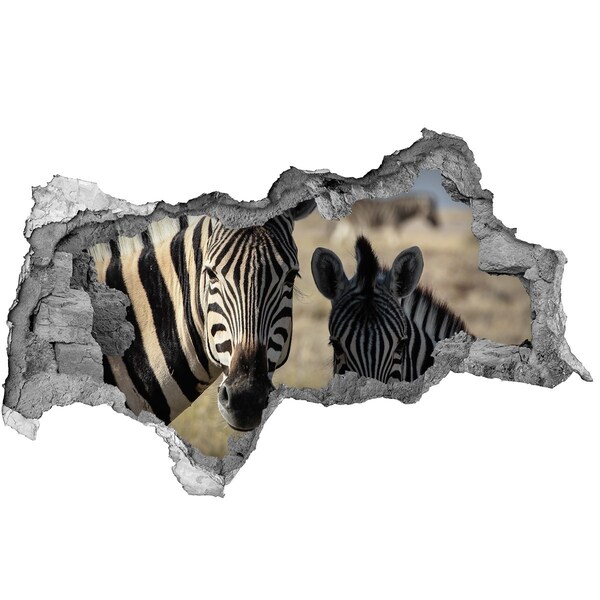 Hole in the wall sticker Zebras in their natural habitat