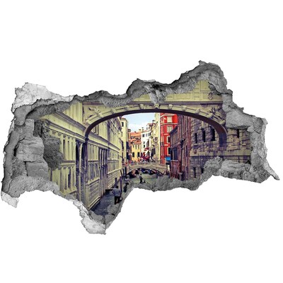 Hole in the wall decal Venice in the Hole