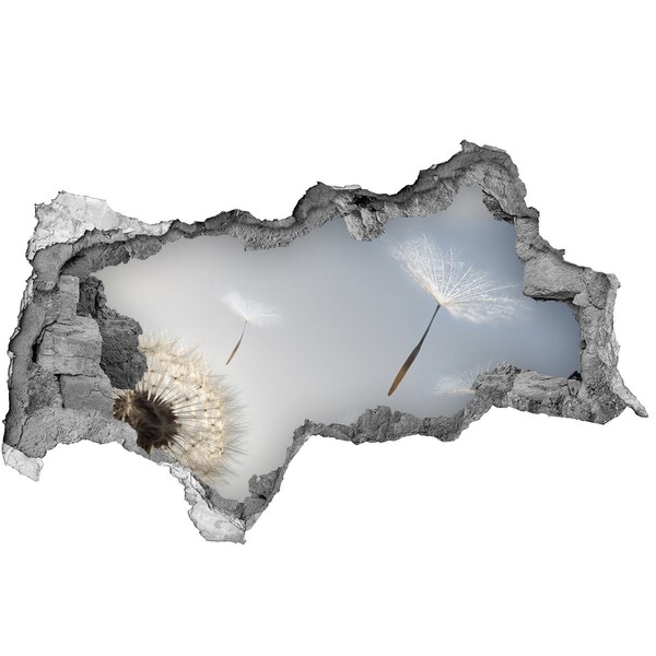 Hole in the wall decal Dandelions in the clouds