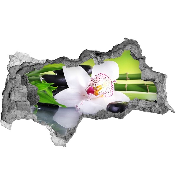 Hole wall sticker A floral oasis of peace