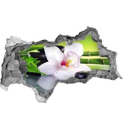 Hole wall sticker A floral oasis of peace