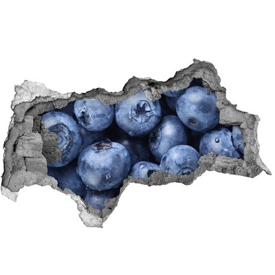 Hole in the wall sticker Berries in concrete