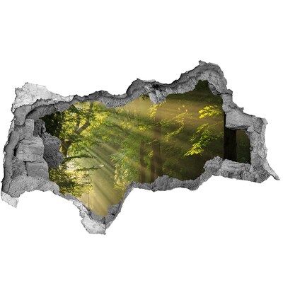 Hole in the wall sticker Forest Oasis of Light