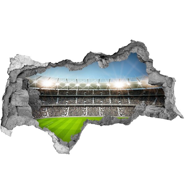 Hole in the wall decal The football stadium in action