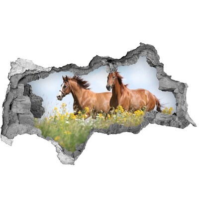 Hole wall sticker Horses in the meadow