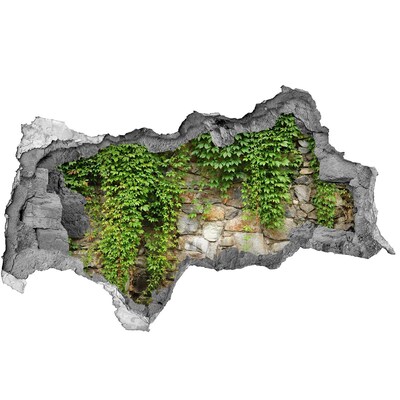 Hole in the wall decal Green wall with stones